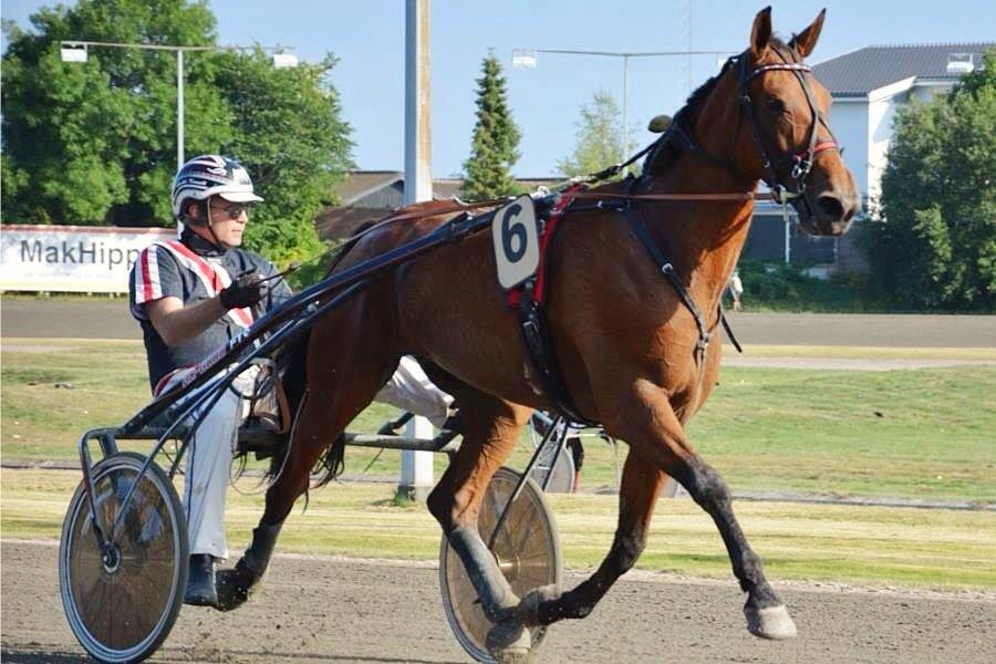 Traver C My Surprise billede 8