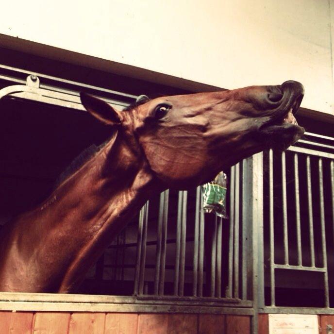 Traver C My Surprise billede 5