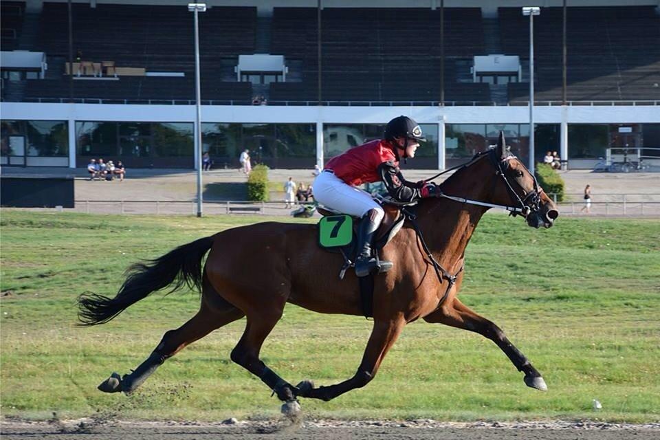 Traver C My Surprise billede 20