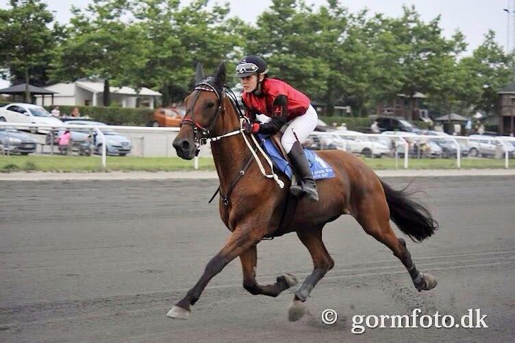 Traver C My Surprise billede 10