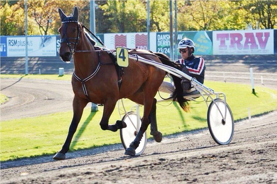 Traver C My Surprise billede 6