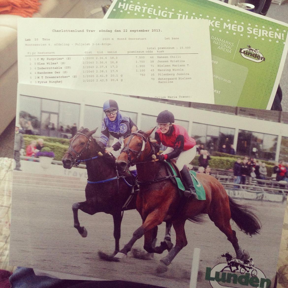 Traver C My Surprise billede 7