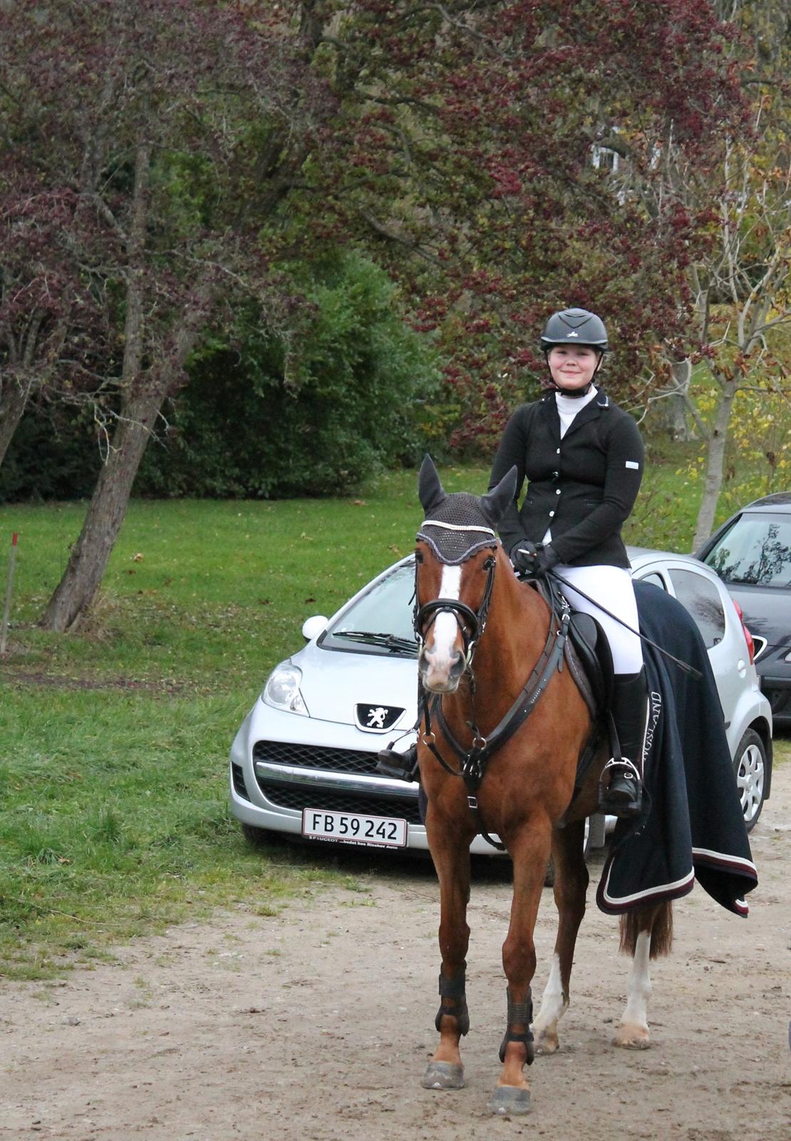 Trakehner Rosita (Bebs) - Stævne i Malling s. 15.11.13  billede 10