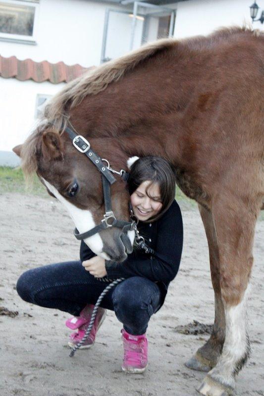 Tysk Sportspony Sultan(Sulle) <3 - Det var det tak fordi i kiggede med :* billede 28