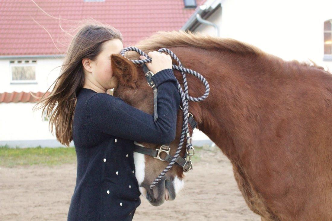 Tysk Sportspony Sultan(Sulle) <3 - Han er blevet en dejlig en! billede 4