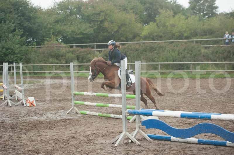 Tysk Sportspony Sultan(Sulle) <3 - Folk der siger du er en pony der er uden personlighed tar fejl! du har den største personlighed folk der tror du ingen personlighed har kan skride! billede 25