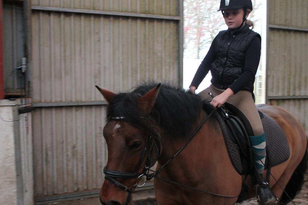 Anden særlig race Mystery billede 3