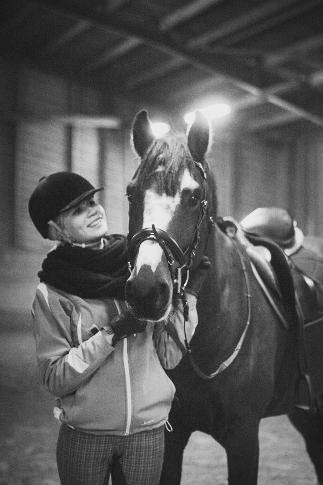 Hollandsk Varmblod Nim Con Calma billede 24