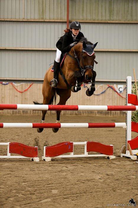 Svensk Varmblod A-tack (SWE) billede 1