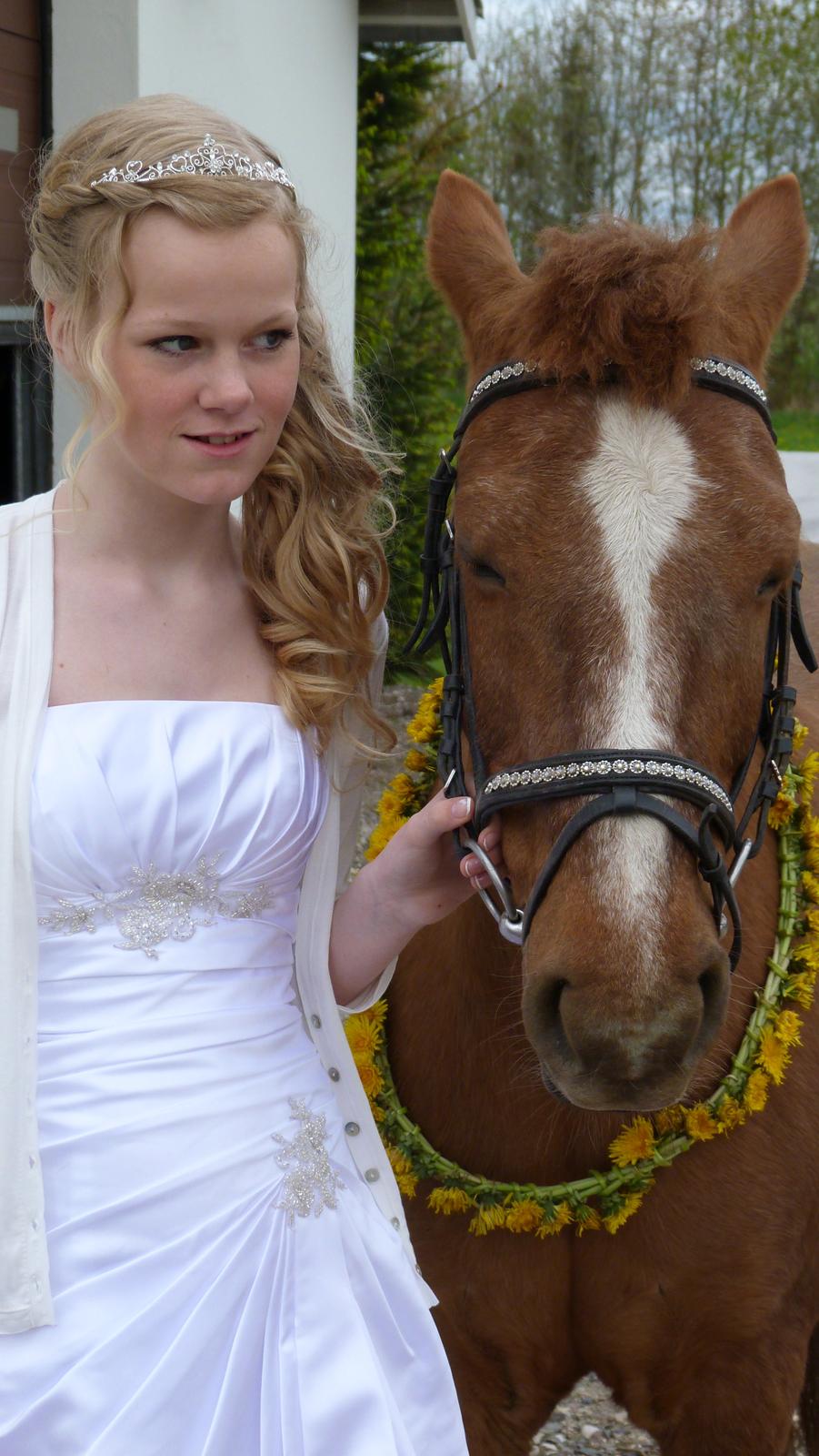 Anden særlig race Holmens Molly<3  *solgt :'S* - hun var den rette til min konfirmation for hun var prikken over i'et <3 billede 18