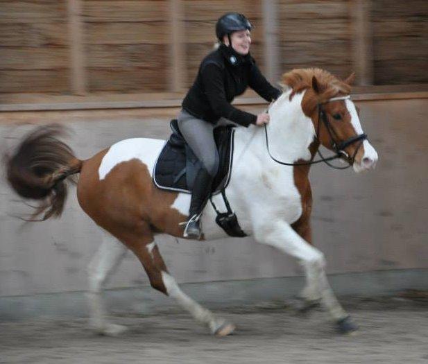 Pinto l l Hodson - Du giver altid din mor et godt grin og et smil på læben <3 billede 1