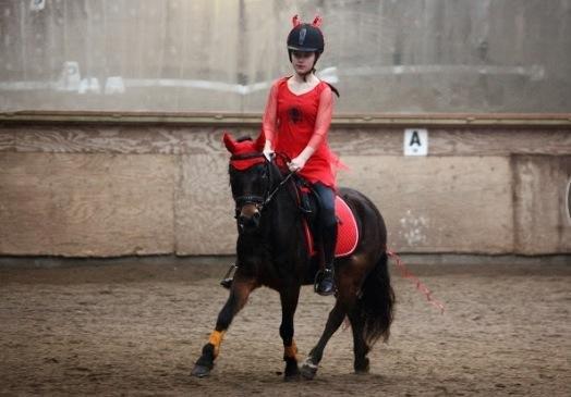 Anden særlig race Hollywood (Holly) - Dressur stævne på LØSR. 02.11.2013 Foto: Andrea Marchsteiner  billede 17