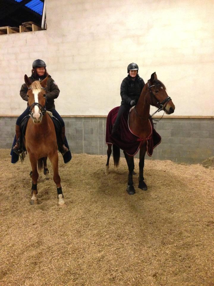 Frederiksborg Nytoftgaards Anastacia (Baby) - Første gang jeg er helt oppe og sidde på baby.. 
Mor og Sanina er ved siden af, som søttepædagog.. (mor er nybegynder)
D. 22/11-13 billede 18