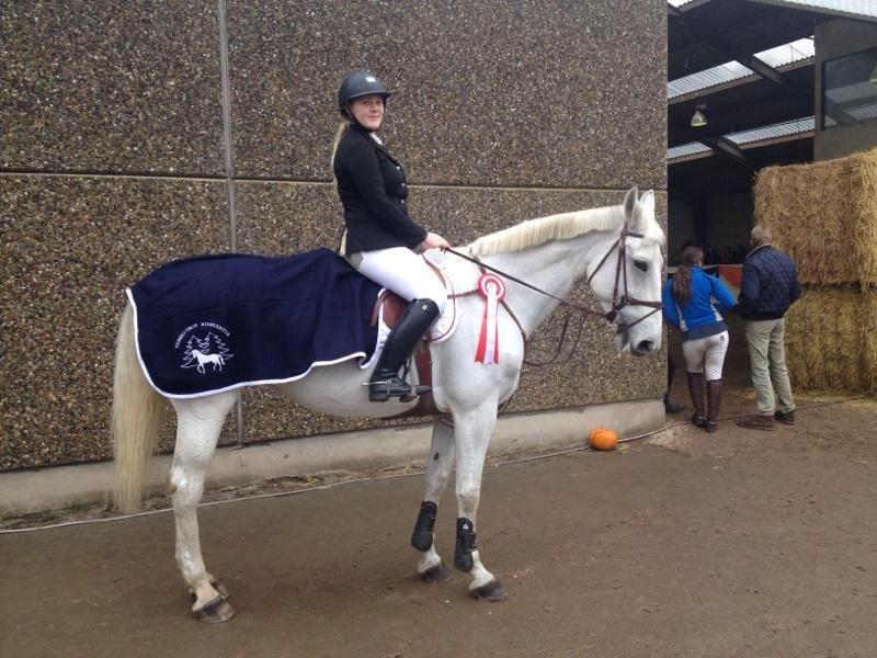 Hollandsk Varmblod TILBURY - 2013 billede 12