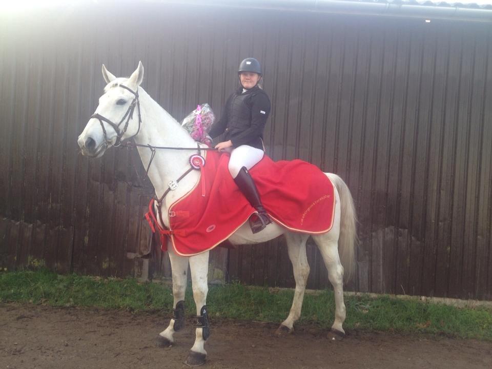 Hollandsk Varmblod TILBURY - Silkeborg Mester 2013 billede 13