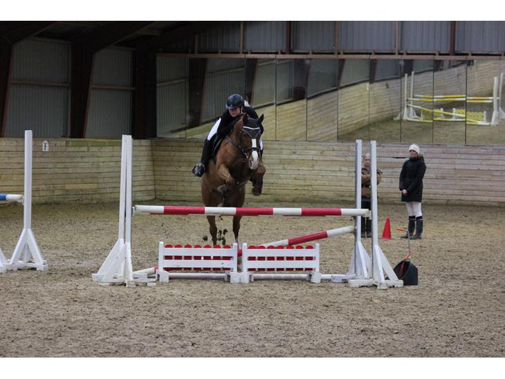 {{currentPhoto.altText}} billede {{currentPhoto.number}}