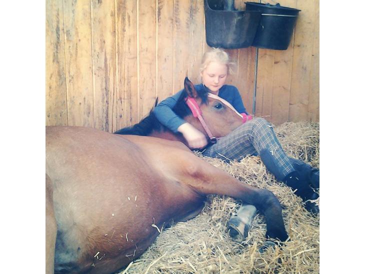 {{currentPhoto.altText}} billede {{currentPhoto.number}}