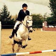 Anden særlig race Isabell. <3