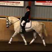 Anden særlig race Isabell. <3