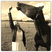 Dansk Varmblod Vestegaardens Leonora