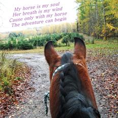 Anden særlig race Tulle "Dullen" <3