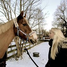 New Forest Indian Princess