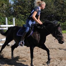 DSP Samara Spring pony