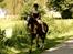 New Forest Indian Princess