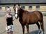 New Forest Indian Princess