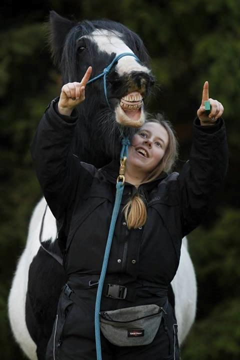 Tinker Tombola billede 18