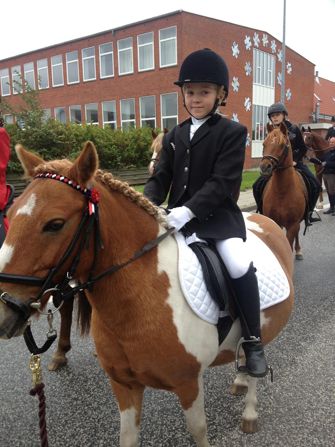Anden særlig race Viktor UDLÅNT billede 7