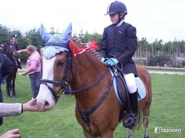 Anden særlig race Amadeus *Ama* billede 25