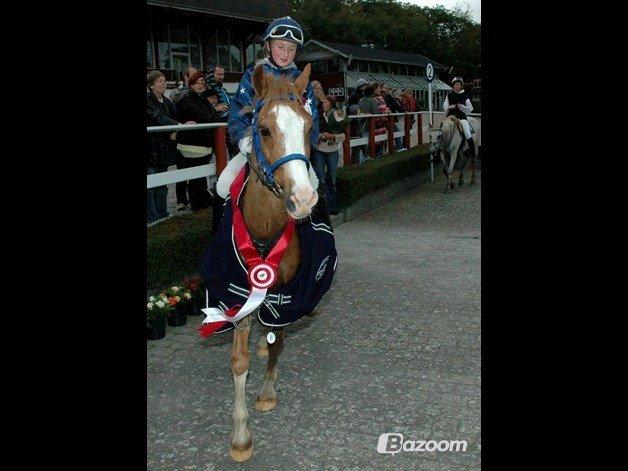 Anden særlig race Amadeus *Ama* billede 36