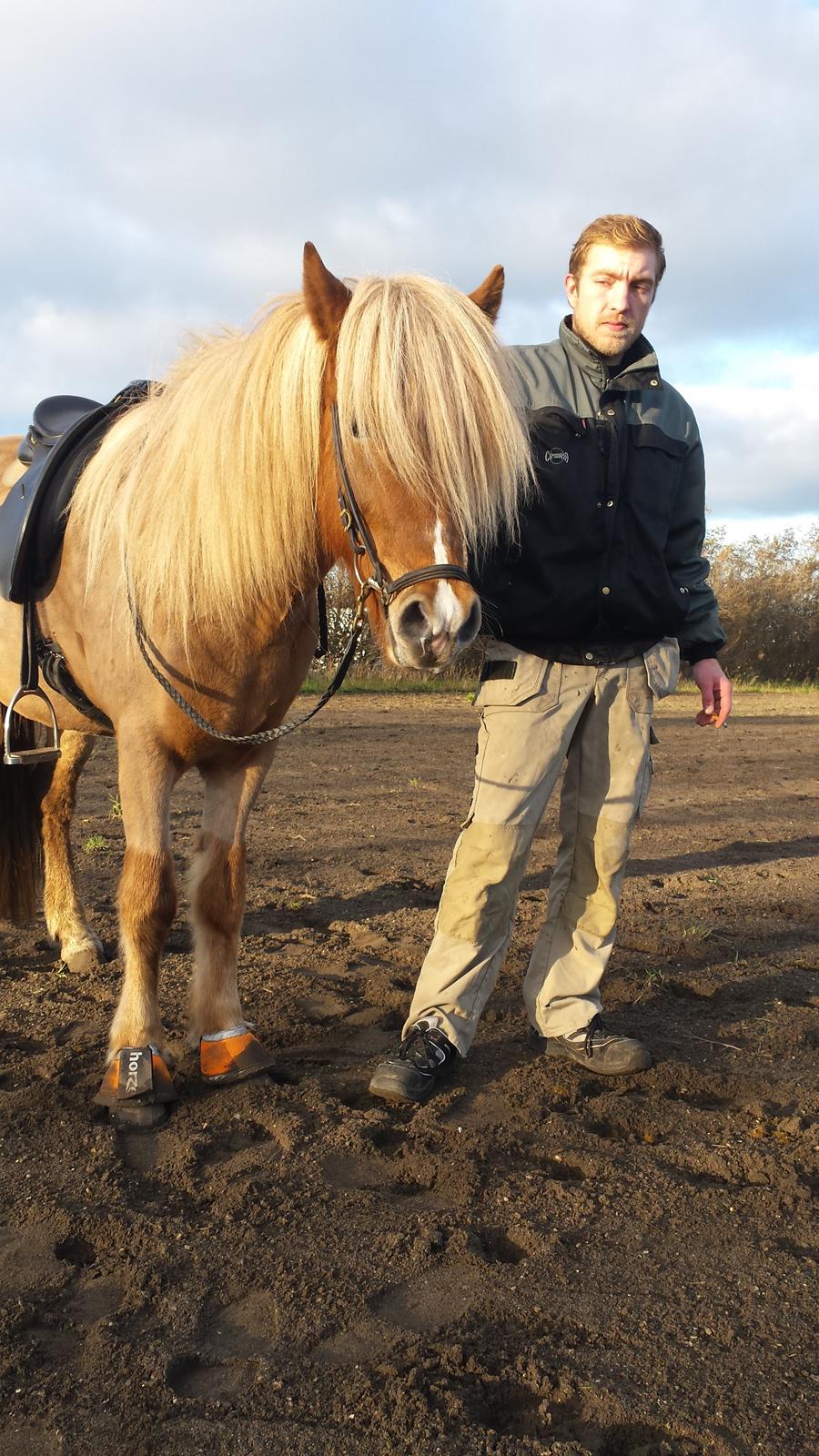 Islænder Fína fra Thorup.<3 billede 13