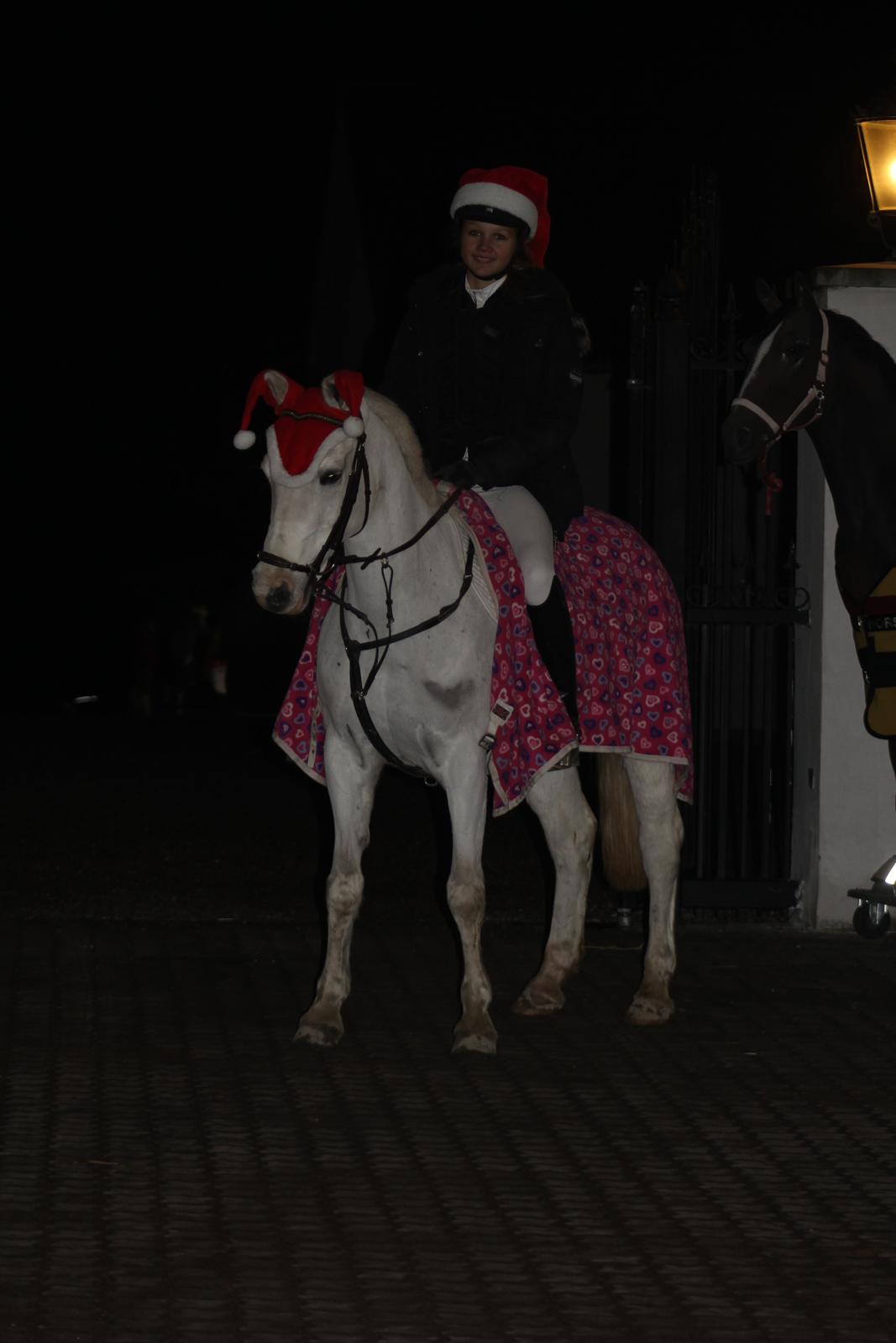 Anden særlig race Shivas Regal billede 2