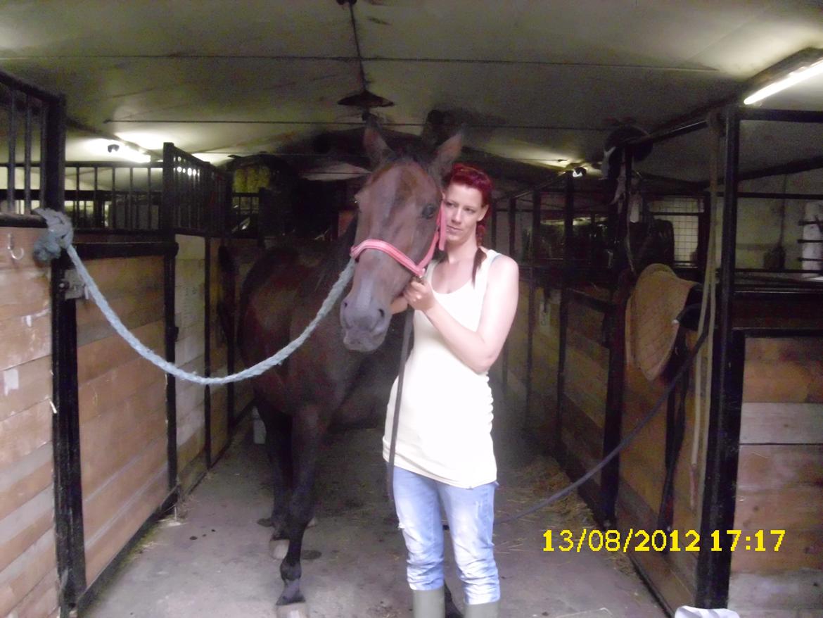 Traver Nikita ås billede 39