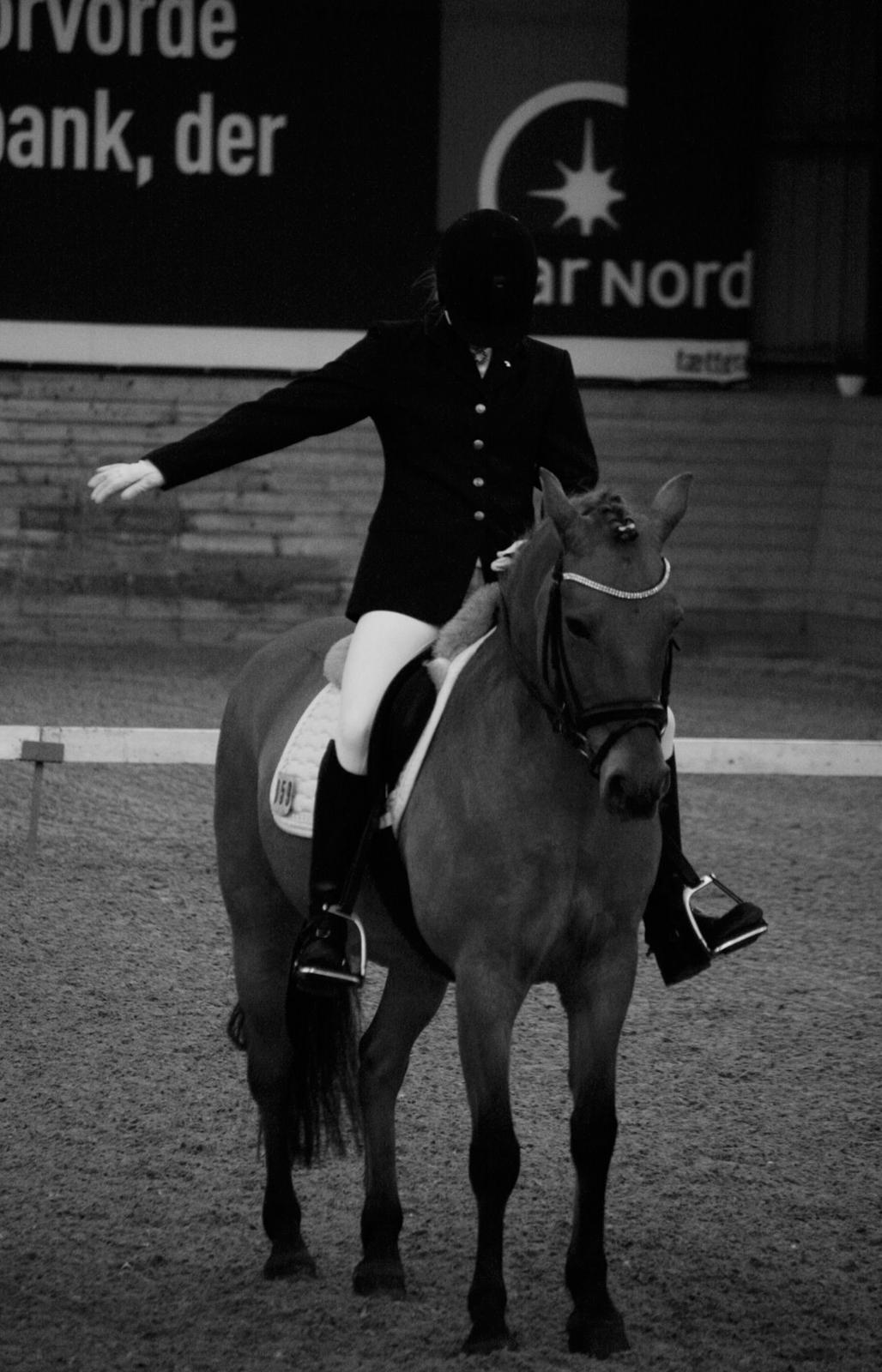 Anden særlig race Lady<3 - LA1 debut! <3 billede 14