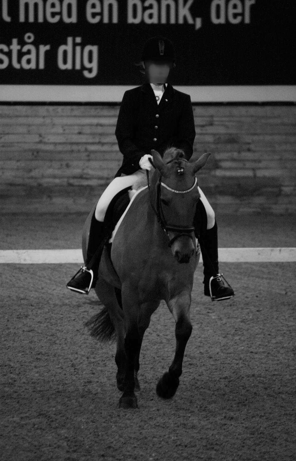 Anden særlig race Lady<3 - LA1 debut <3 billede 19