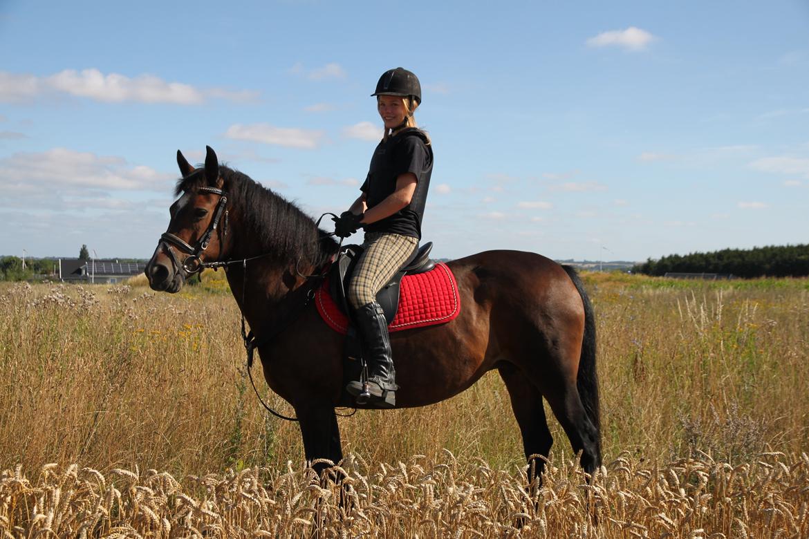 New Forest Elmholts Elina billede 3