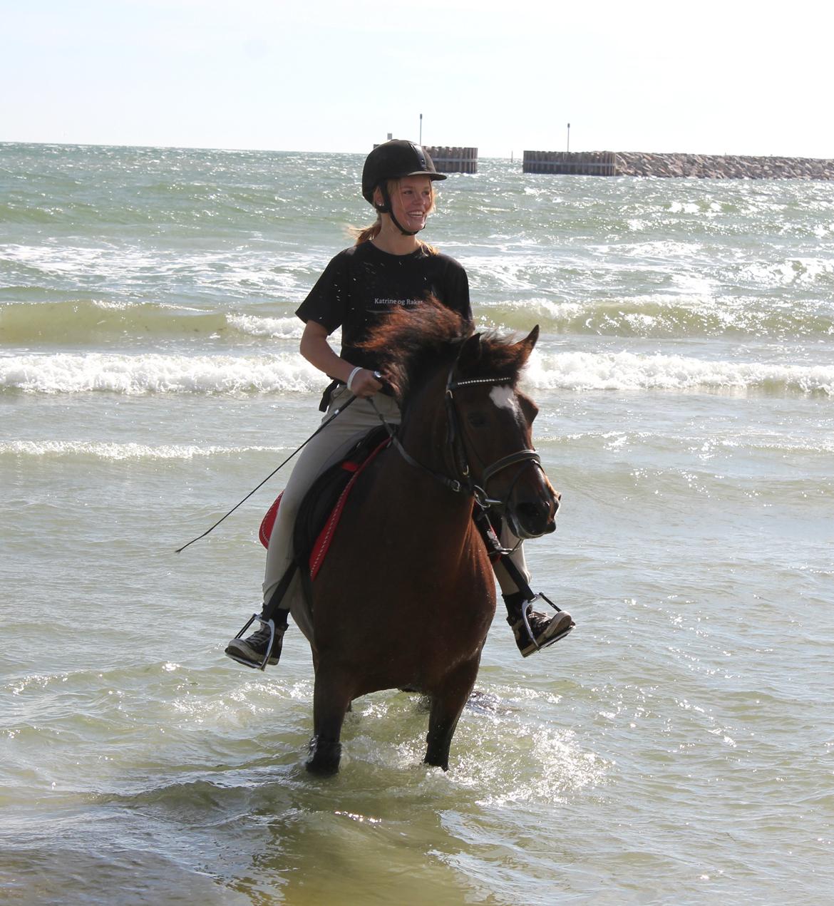 New Forest Elmholts Elina billede 7