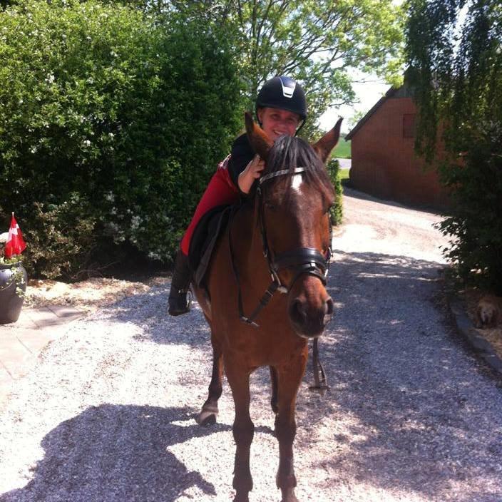 Anden særlig race Balou. - Er glad for du er ved min side!<3 billede 12