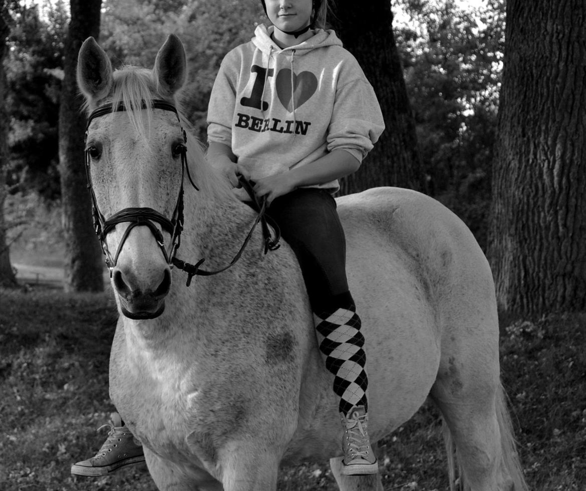 Anden særlig race COCO'S NEW IMAGE~Soulmate - Min sidste ridetur på Coco, hans sidste gang med rytter, og vores sidste stund sammen. Jeg elsker dig!! billede 2