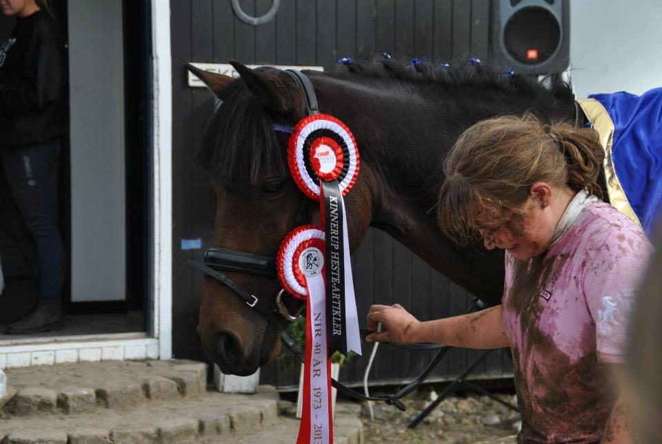 Hollandsk Sportspony Traquito. - Vinder af Nibe Cup 2013!<3  billede 15