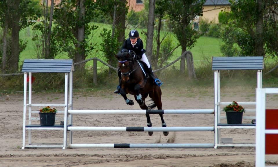 Hollandsk Sportspony Traquito. - Nibe Cup 2013:-D<3 billede 16