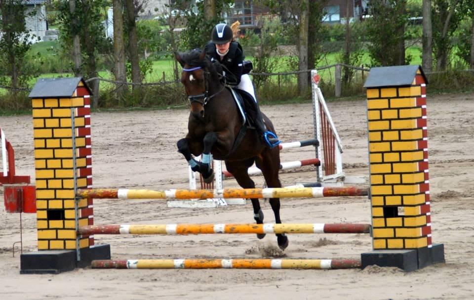 Hollandsk Sportspony Traquito. - Nibe Cup 2013:-D<3 billede 17