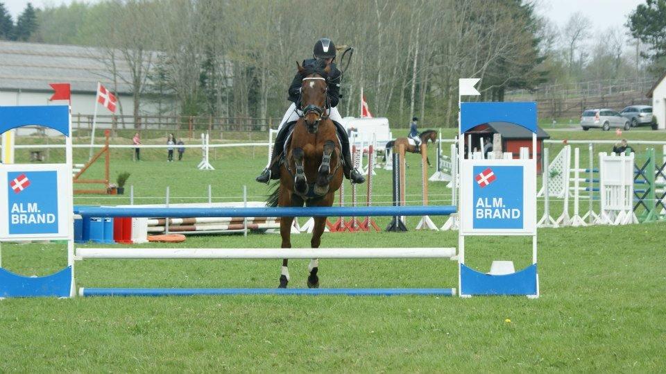 Anden særlig race Balou. - Morsø 2013!<3 billede 14