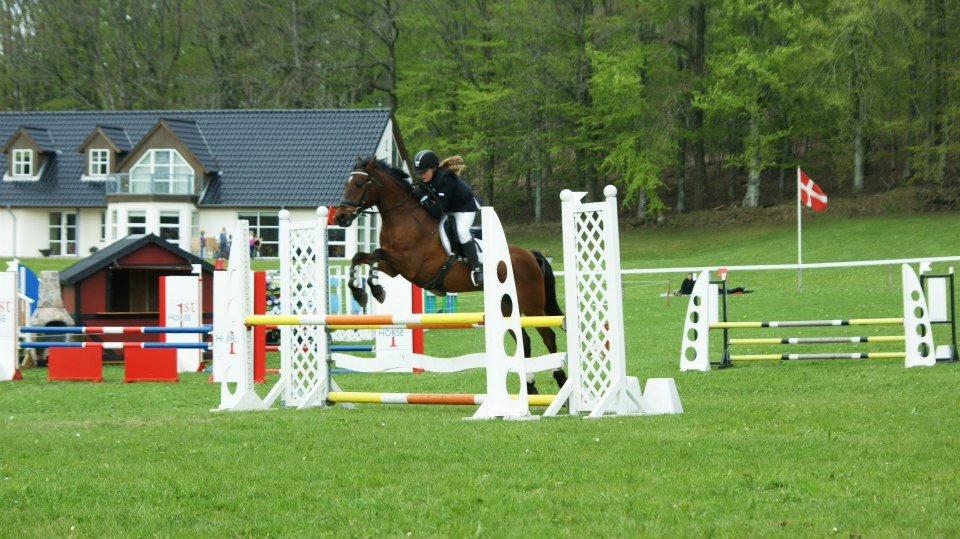 Anden særlig race Balou. - Morsø 2013:-D<3 billede 15