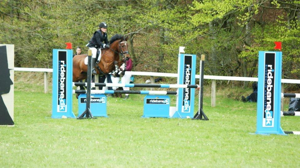 Anden særlig race Balou. - Morsø 2013:-)<3 billede 16