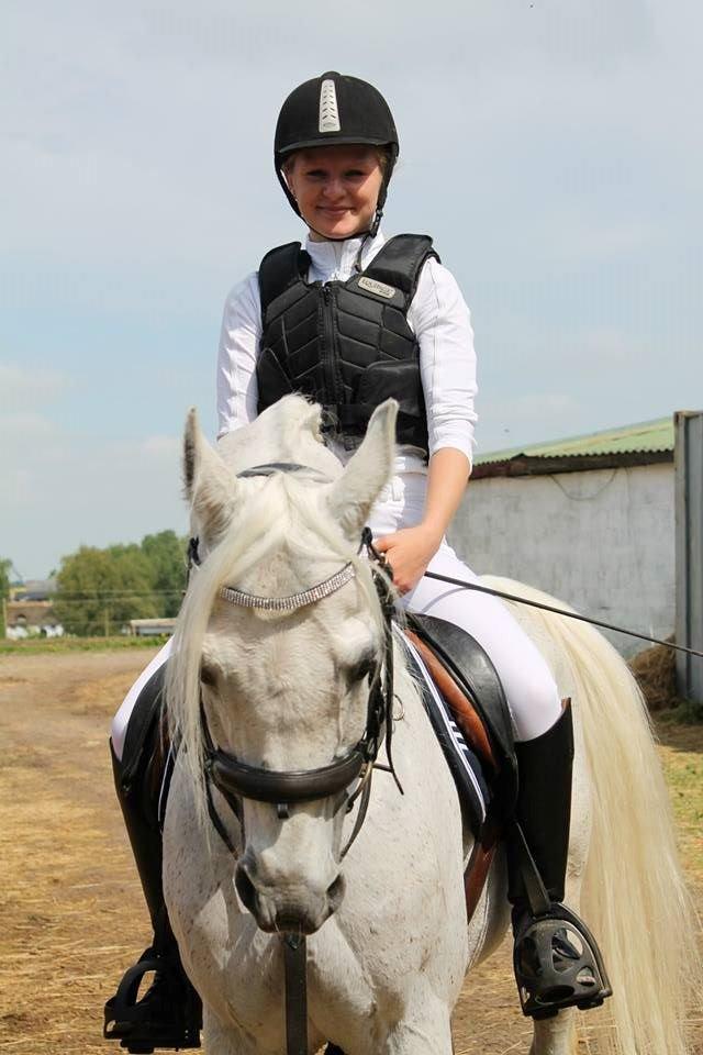 Arabisk fuldblod (OX) Emrod - Til stævne billede 9