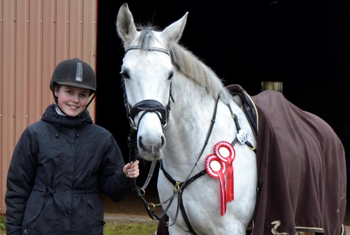 Dansk Varmblod Årup Mølles Lancóme - 23 November 2013 billede 2
